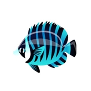 Striped Butterfly Fish